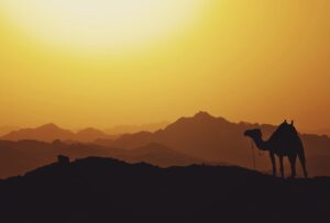 UAE’s Strategic Positioning in Conflicts Across Libya, Sudan, and Yemen