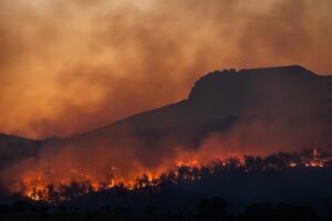 Global Methane Emissions Remain High Despite Solutions: IEA Report